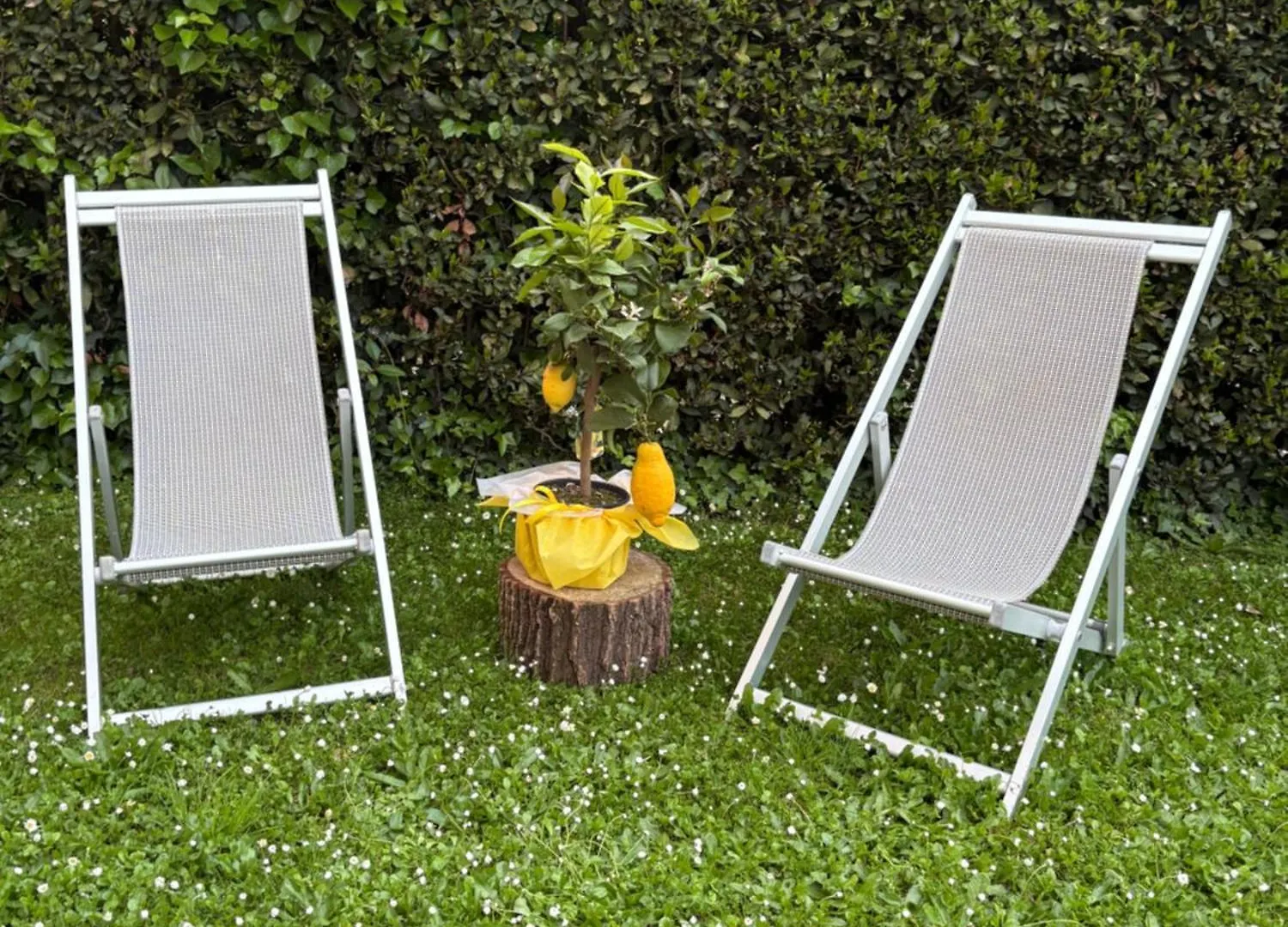 Alojamento de Acomodação e Pequeno-almoço Villa Agnese B&B Lucca