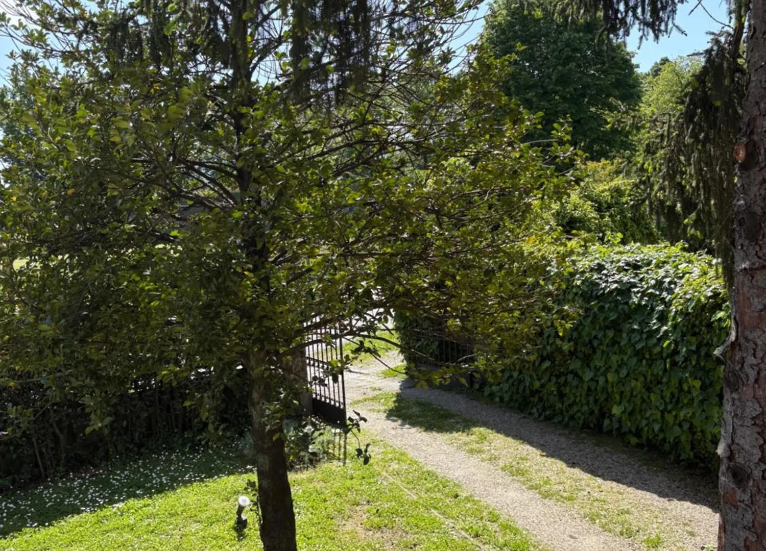 Villa Agnese B&B Lukka 4*,